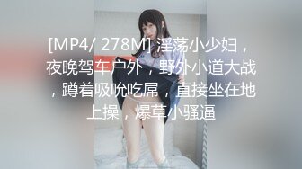 [MP4/ 278M] 淫荡小少妇，夜晚驾车户外，野外小道大战，蹲着吸吮吃屌，直接坐在地上操，爆草小骚逼