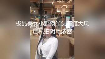 极品美女小野模丫头宾馆大尺度私拍阴毛浓密