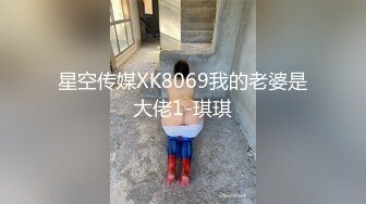 星空传媒XK8069我的老婆是大佬1-琪琪