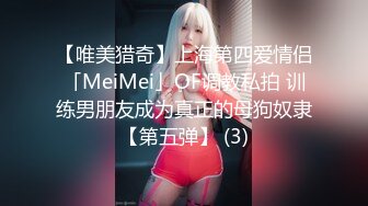 【新片速遞】 游乐场女厕高颜值偷拍⭐第二集⭐个个都是年轻貌美的妞[803M/MP4/10:53]