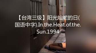 【台湾三级】阳光灿烂的日(国语中字).In.the.Heat.of.the.Sun.1994