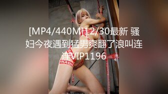 [MP4/440M]12/30最新 骚妇今夜遇到猛男爽翻了浪叫连连VIP1196