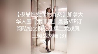 【极品性爱淫乱群交】加拿大华人圈『索菲娅』最新VIP订阅私拍②群交乱操二龙戏凤 三骚战肉棒 (3)