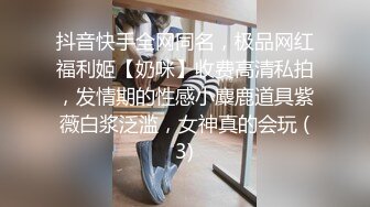 抖音快手全网同名，极品网红福利姬【奶咪】收费高清私拍，发情期的性感小麋鹿道具紫薇白浆泛滥，女神真的会玩 (3)