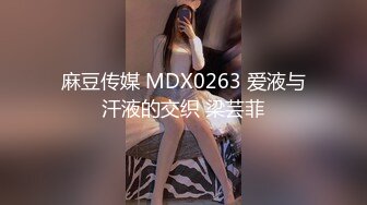 麻豆传媒 MDX0263 爱液与汗液的交织 梁芸菲