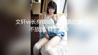 文轩vs长身御姐   美腿真的是不放过  肆意玩弄