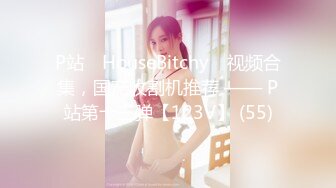 P站⭐ HouseBitchy ⭐视频合集，国产收割机推荐 —— P站第十三弹【123V】 (55)