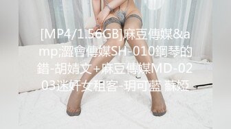 [MP4/1.56GB]麻豆傳媒&amp;澀會傳媒SH-010鋼琴的錯-胡婧文+麻豆傳媒MD-0203迷奸女租客-玥可藍 蘇婭