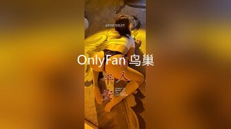 OnlyFan 鸟巢