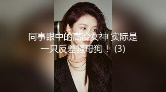 同事眼中的高冷女神 实际是一只反差骚母狗！ (3)