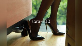 sora-510